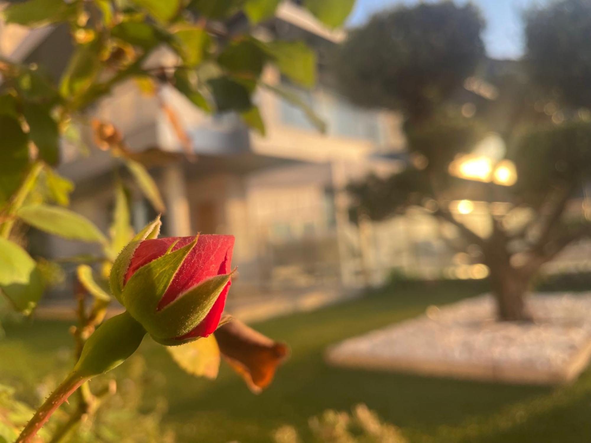 Villa Altos De Finestrat Esterno foto